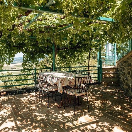 Apartmán Little Val D'Orcia Montenero d'Orcia Exteriér fotografie