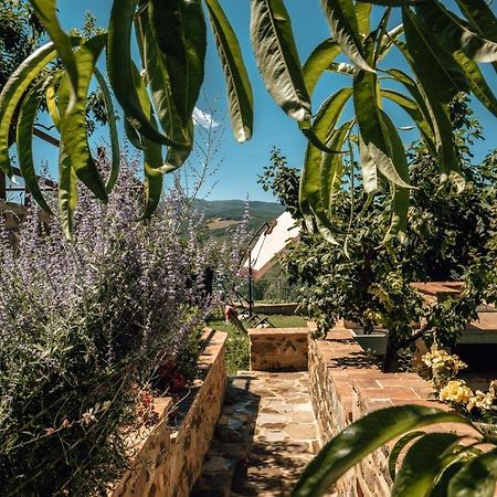 Apartmán Little Val D'Orcia Montenero d'Orcia Exteriér fotografie