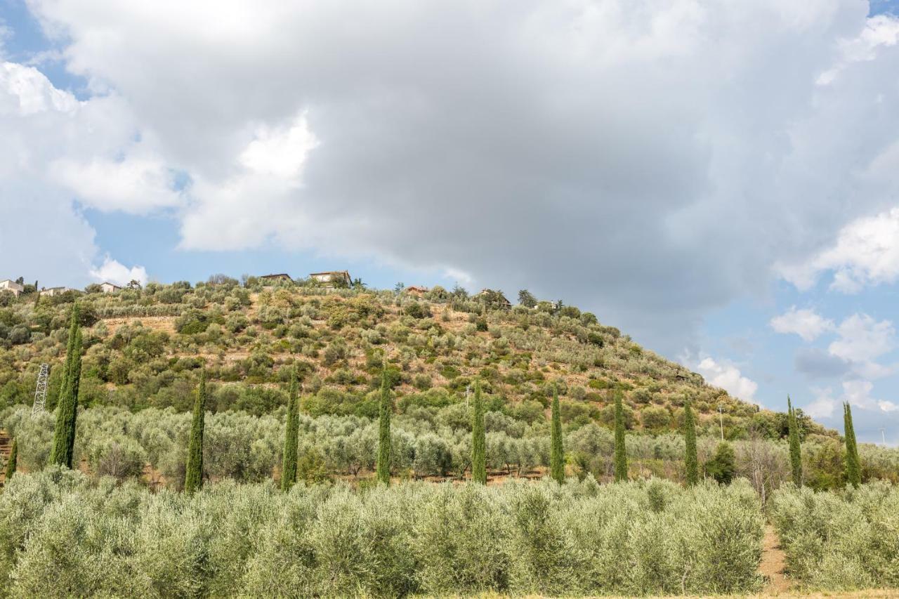 Apartmán Little Val D'Orcia Montenero d'Orcia Exteriér fotografie