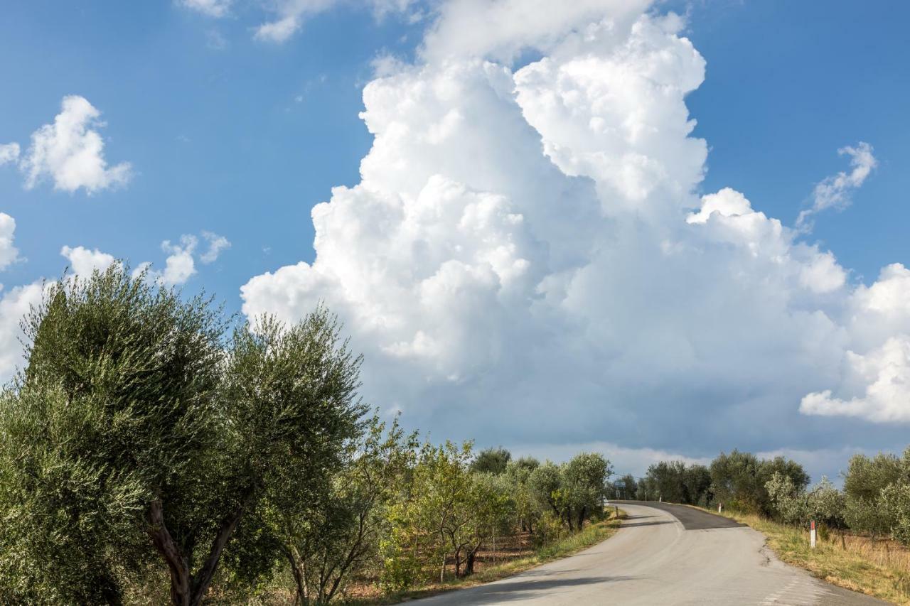 Apartmán Little Val D'Orcia Montenero d'Orcia Exteriér fotografie